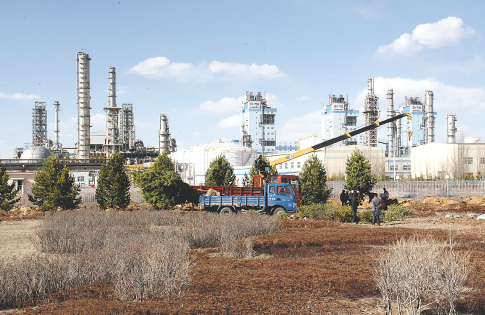 维多利亚老品牌76696vic